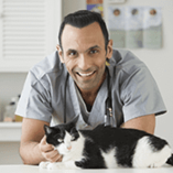 La toxoplasmose